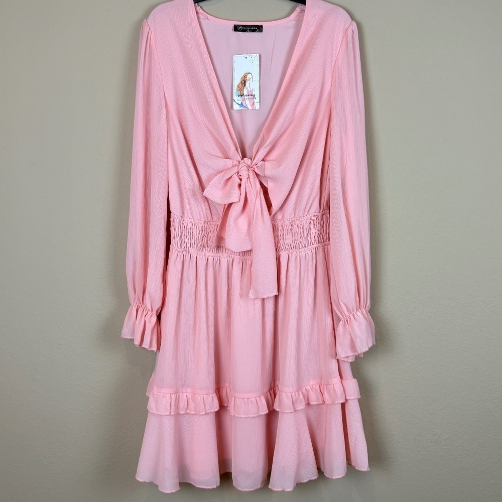 NWT Pretty Garden V-Neck Tie Front Long Sleeve Ruffle Tiered Dress